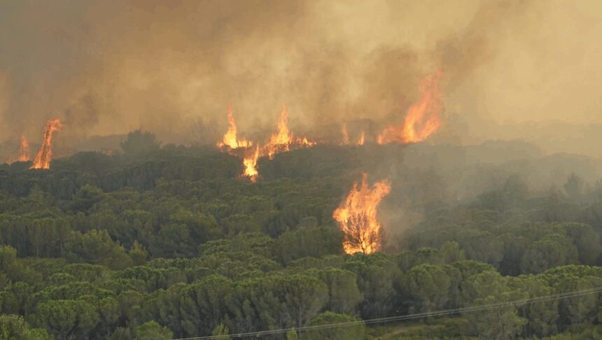 Incendies dans l’Aude : il roulait sans permis ni assurance, un homme suspecté d’avoir mal éteint son barbecue mis en examen