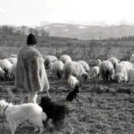 Cine a fost nobilul maghiar care s-a deghizat în cioban ca să culeagă informaţii din Transilvania: „Încetineala şi indecizia îi fac pe români să pară proşti”