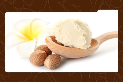 These 11 Shea Butter Mixes Will Leave Your Skin Softer, Smoother, and Glowing