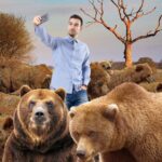 Pedepse dure! Șoferii care opresc să filmeze urși vor avea Tik Tok-ul suspendat șase luni