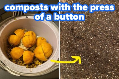 28 Workhorse Products To Save You After You’ve Put Off Your Chores Way Too Long