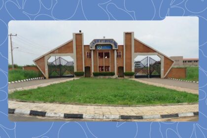 These Private Universities in Nigeria Offer the Best Education at Reasonable Fees