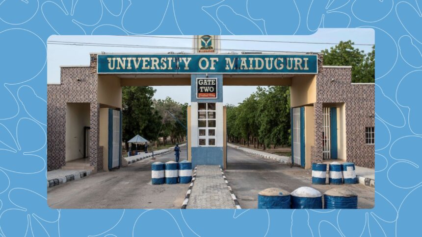 University Tuitions are High, But Not For These Federal Universities