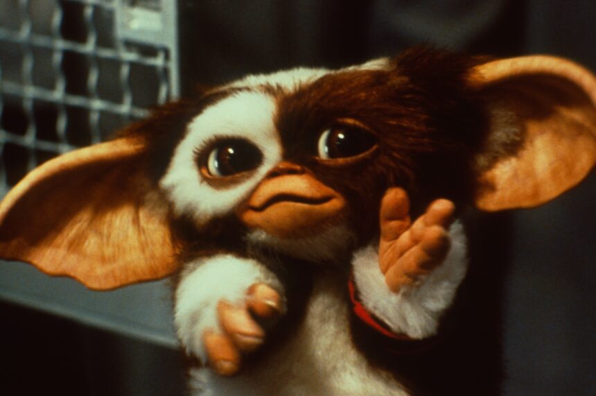 ‘Gremlins 3’ Is Just ‘Waiting on Spielberg to Read and Approve’ the Script, Says Original Lead Actor Zach Galligan: ‘Warner Bros. Is Incredibly Interested’