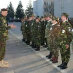 Întrebare de bun-simț. Cum ne apără MApN de ruși, când nu ne apără nici măcar de țânțari?