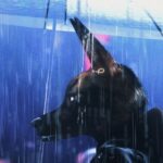 Toronto-Bound Animated Feature ‘Bouchra’ Picked Up by Lucky Number as First Clip Debuts (EXCLUSIVE)